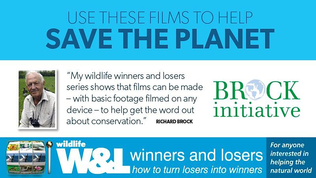 #RichardBrock´s last two films are being released soon ... finished by his long-time editor (&amp; friend) <a href="/GarethTrezise/">Gareth Trezise</a> ... one on what would´ve been his 87th birthday, 22nd of December, &amp; the final one on the first anniversary of his death, the 30th of December. 💚 <a href="/Wildlife_Film/">Wildlife Film News</a>