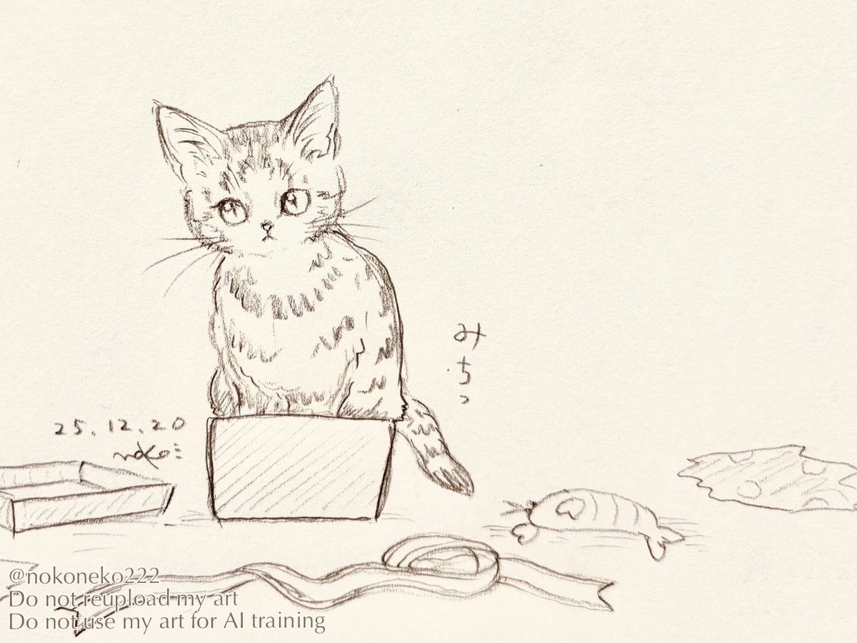 あやねこや (@neko_buna) / Posts / X