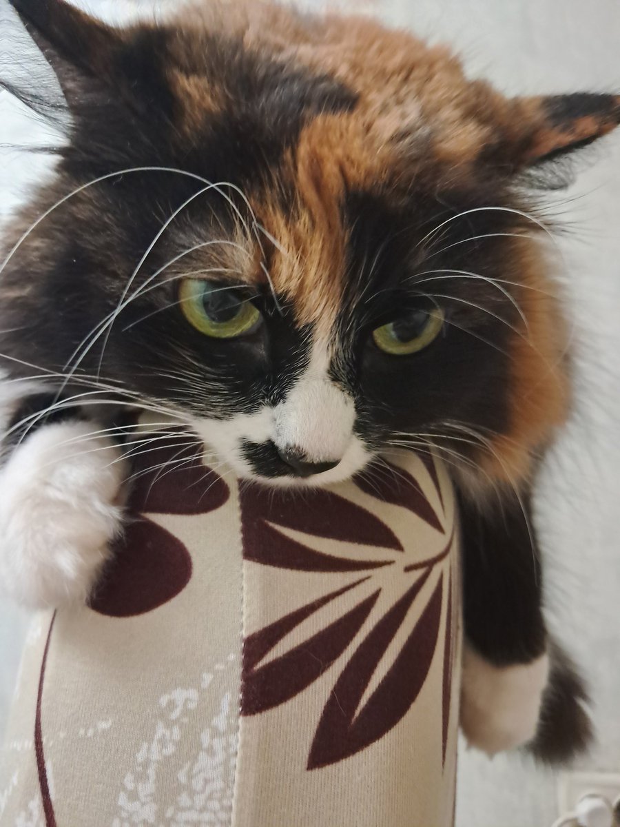 Вітаю, друзі! Дали світло! Бережи Боже  наших енергетиків, роблять неймовірне! Опалення ще немає. Ми були на ринку, купили усе на голубці і я, практично в темряві накрутила кастрюляку! Оце і буде на Різдво! Обіймаємо з Ірискою усіх!