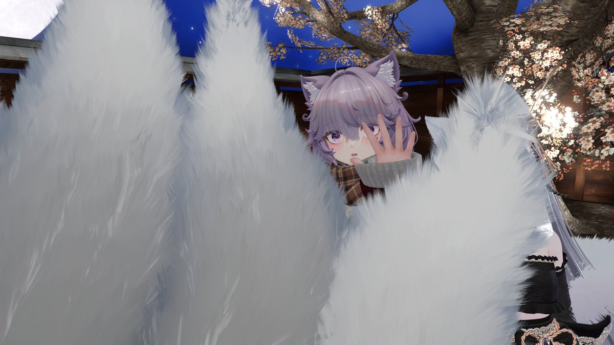 Akane_VRChat's tweet photo. #VRC狐集会 、参加してきました！！
憧れが強すぎてずっと九尾の話しちゃってた！

見てくださいこの最高の集合写真！！
これが我ら狐族ですよ！！
Nemo同志も居て嬉しい…よかったチベスナも狐だ

4枚目は白毛九尾様の尻尾に畏れ多くも触らせて頂いた私

眼福すぎて時を止めてずっと居たかった…… https://t.co/uf78En84AZ