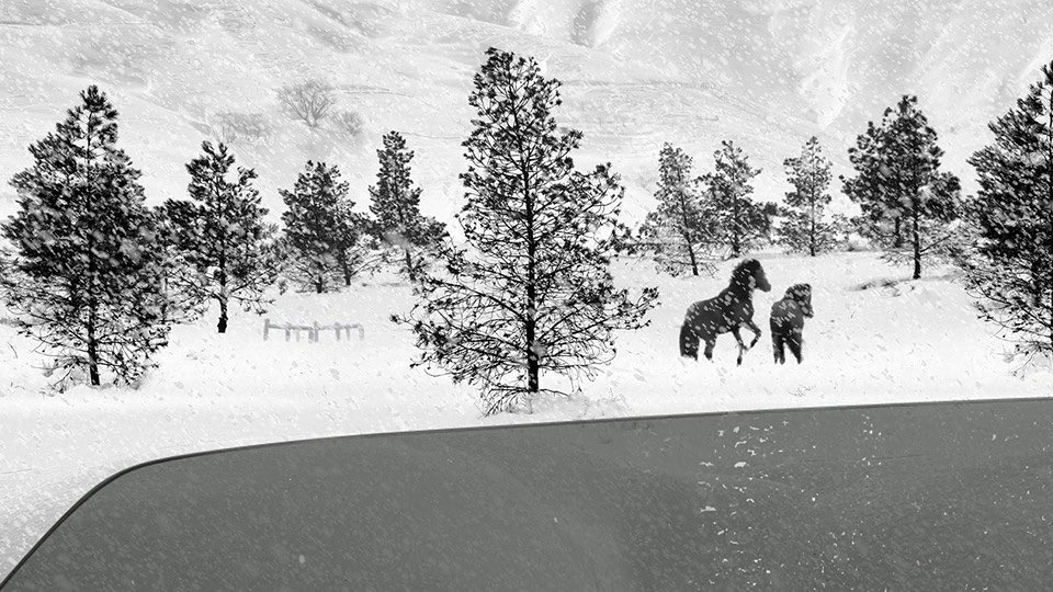 keyvanyyyyy's tweet image. الان آقای کیارستمی از اون بالا داره مناظر برفی ایران رو می بینه و‌میگه چرا کسی سراغ اینا نمیره 

عکسها از  فیلم بیست و‌چهار فریم و 
مجموعه سفید برفی  کیارستمی