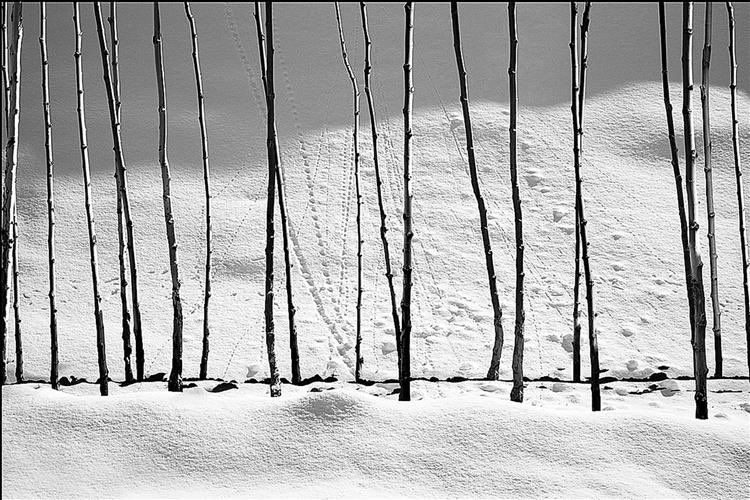 keyvanyyyyy's tweet image. الان آقای کیارستمی از اون بالا داره مناظر برفی ایران رو می بینه و‌میگه چرا کسی سراغ اینا نمیره 

عکسها از  فیلم بیست و‌چهار فریم و 
مجموعه سفید برفی  کیارستمی