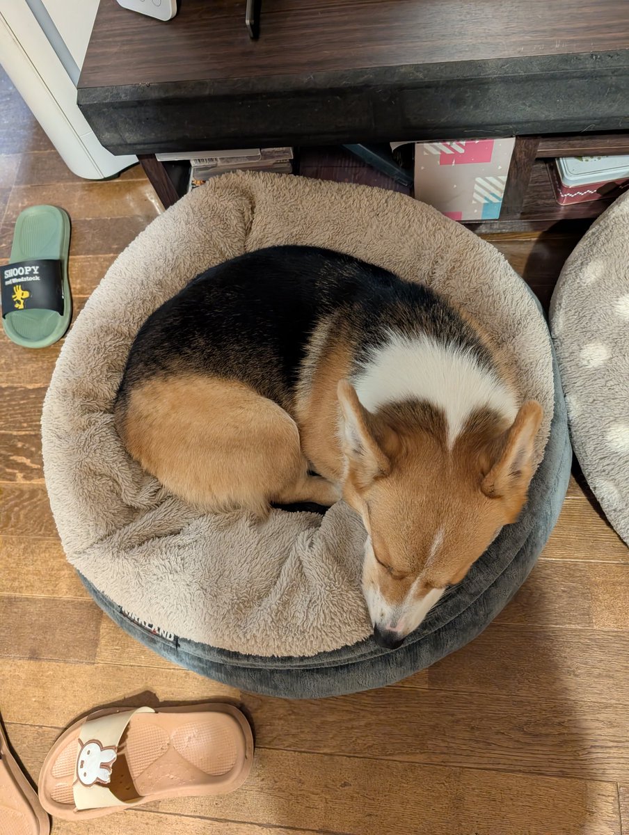 落ちコギ1.2号と寝る時間なのにニコニコしてる3号😅 お疲れ様でした