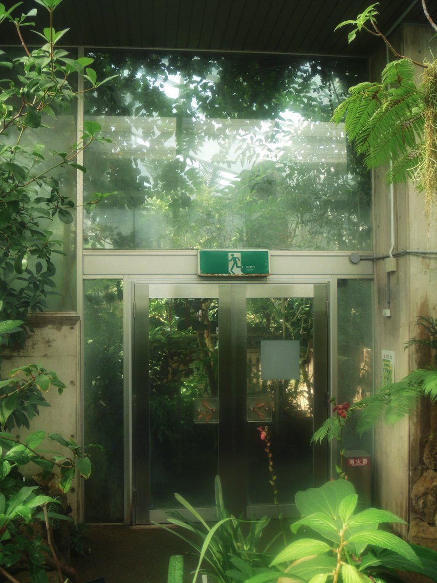 _narwhal____'s tweet image. 