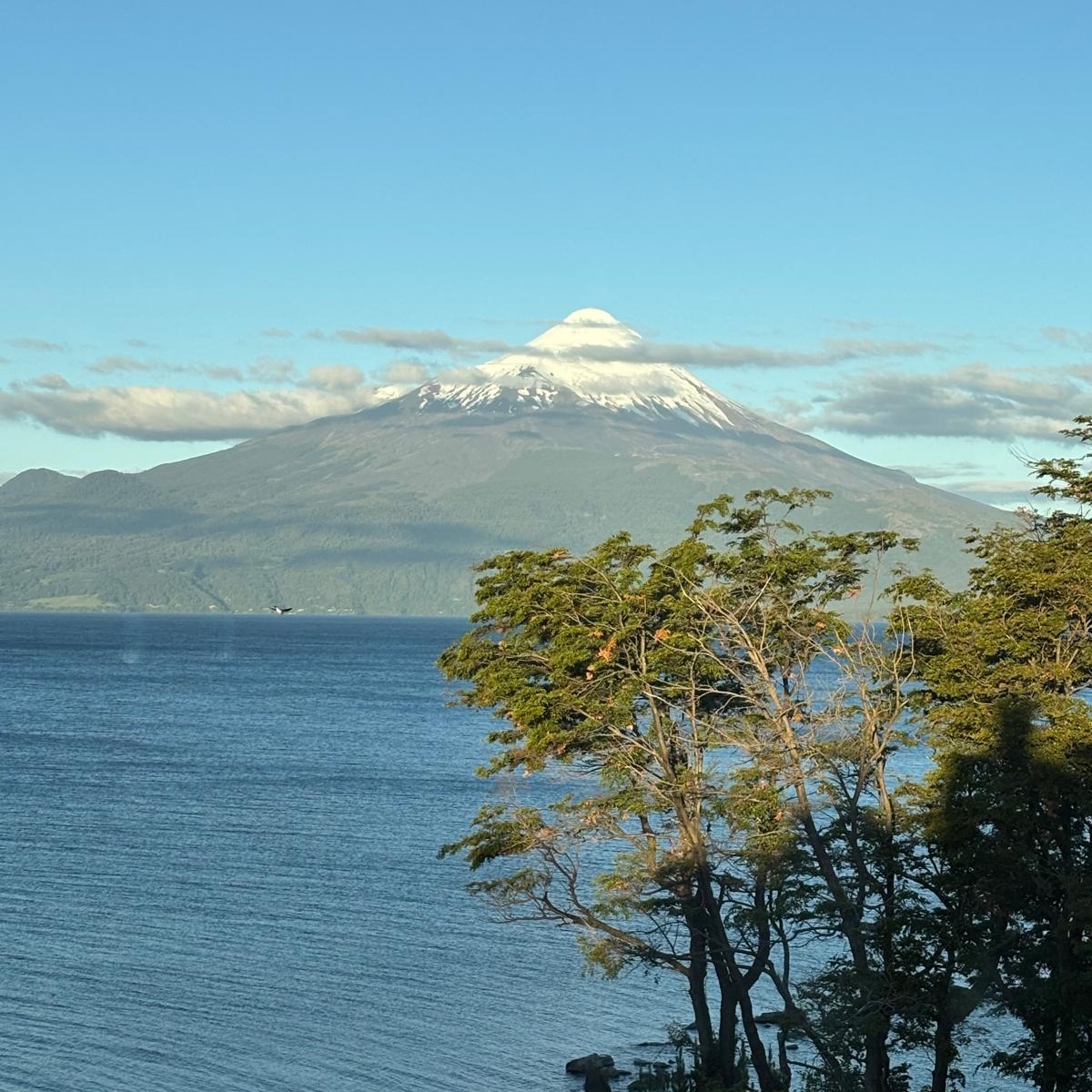 Claudia Gintersdorfer tweet media