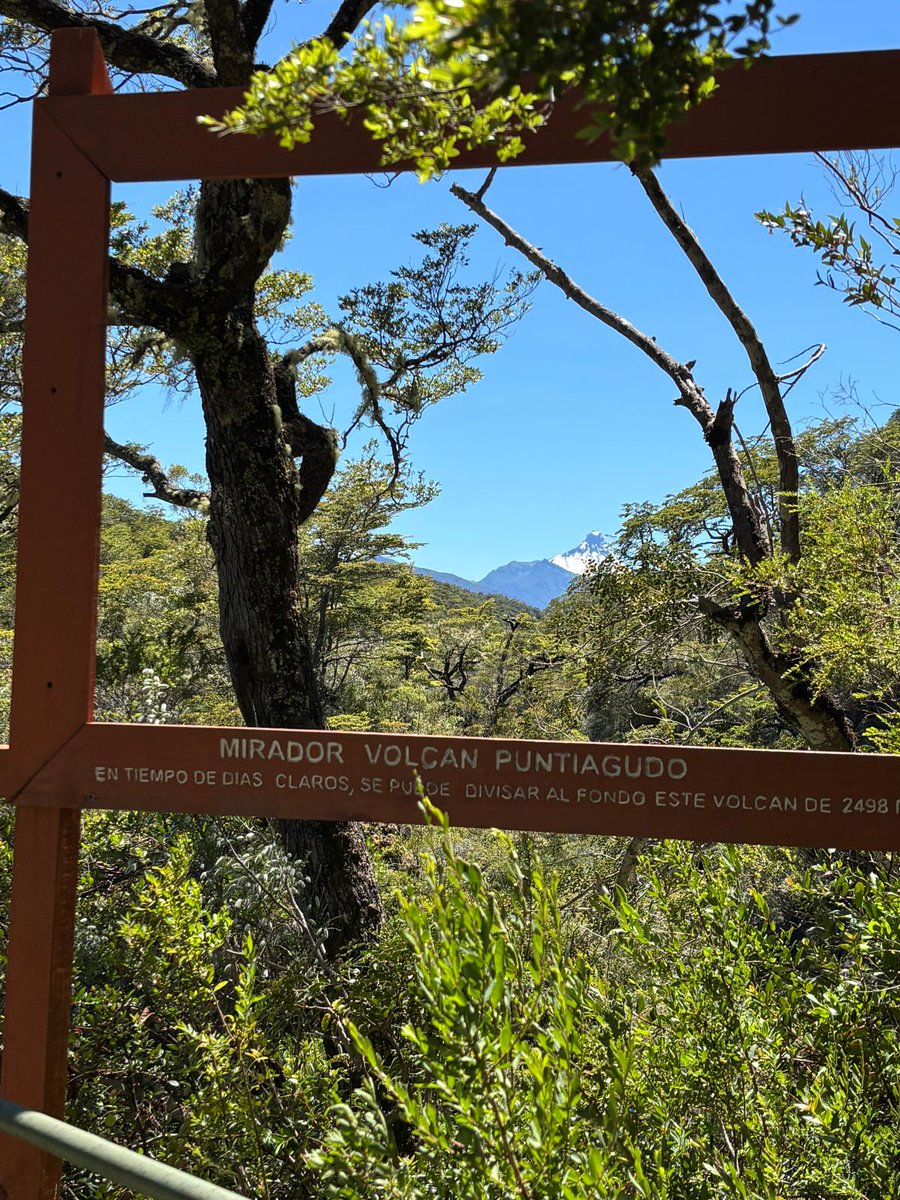 Claudia Gintersdorfer tweet media