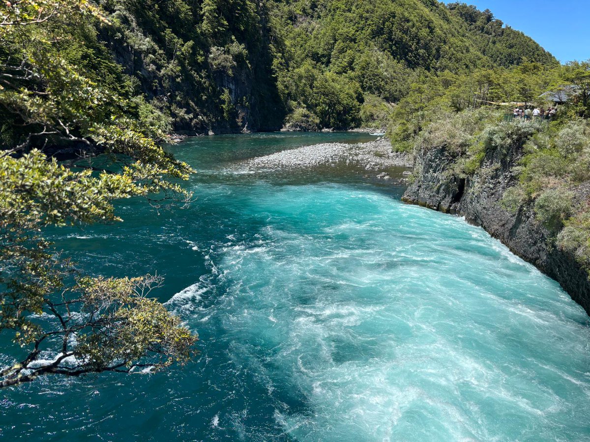 Claudia Gintersdorfer tweet media