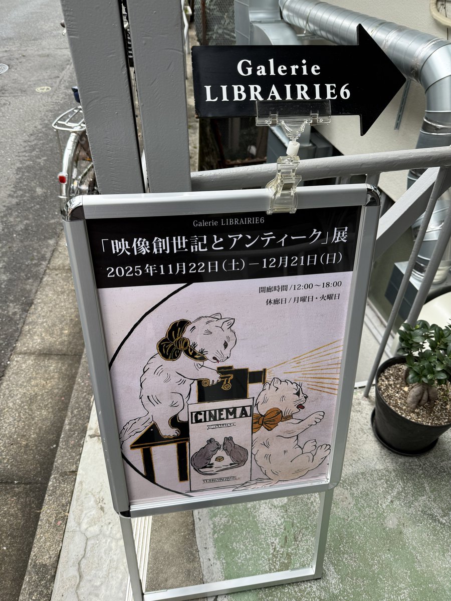 うめちゃん (@discoverymypace) / Posts / X