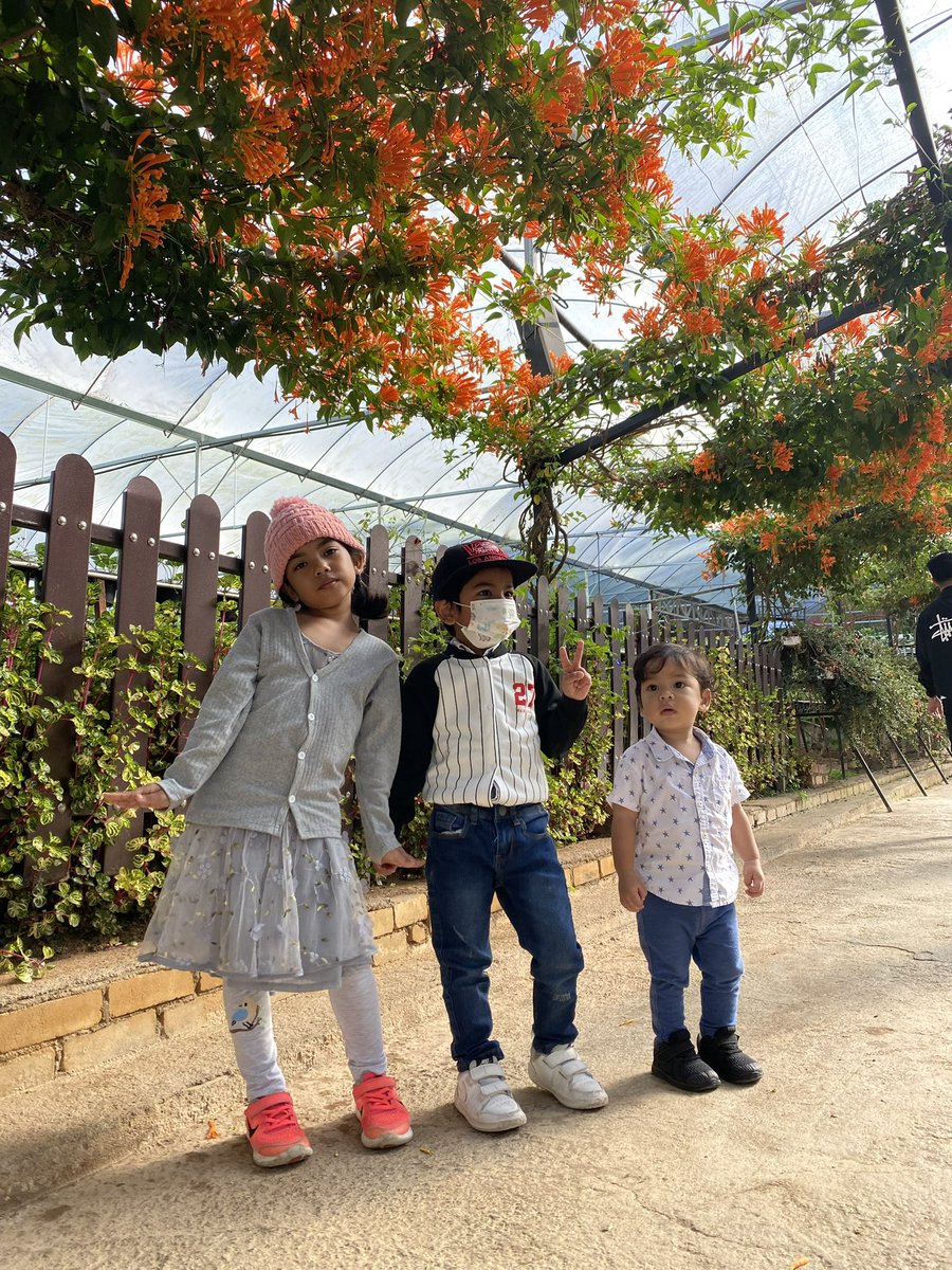 akialuz's tweet photo. "Abang nak beg sekolah yang tak de kartun2. Cikgu kata darjah 4 kena jadi matang."

Bila dia membesar ni eh? 🥹 https://t.co/lzyE2P8cEL