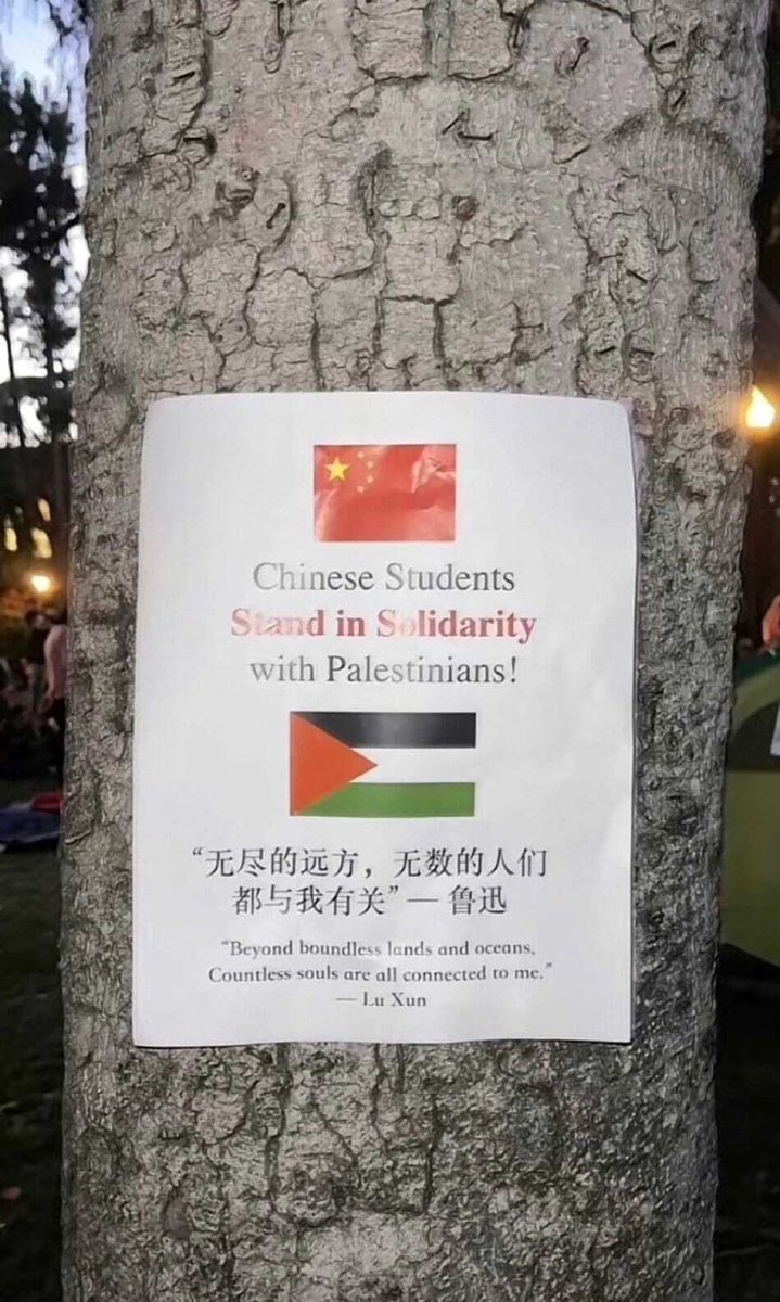 Pamphlets.Blog (@pamphletsy) on Twitter photo 