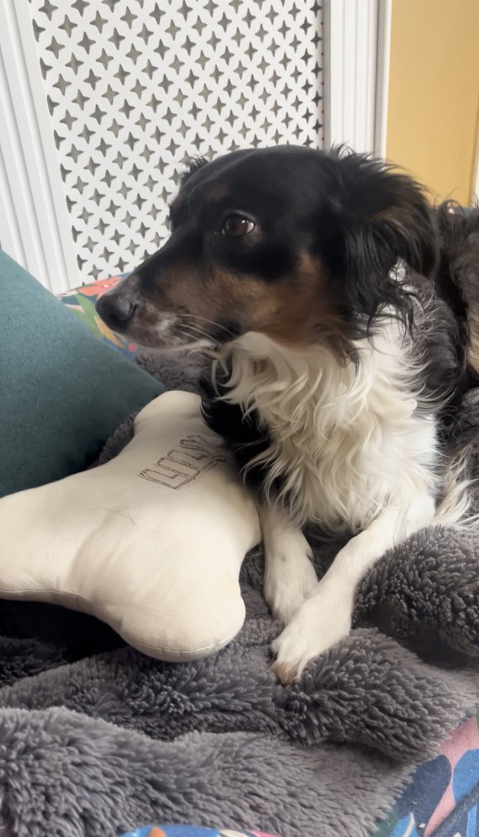 Brendan Rogan tweet media