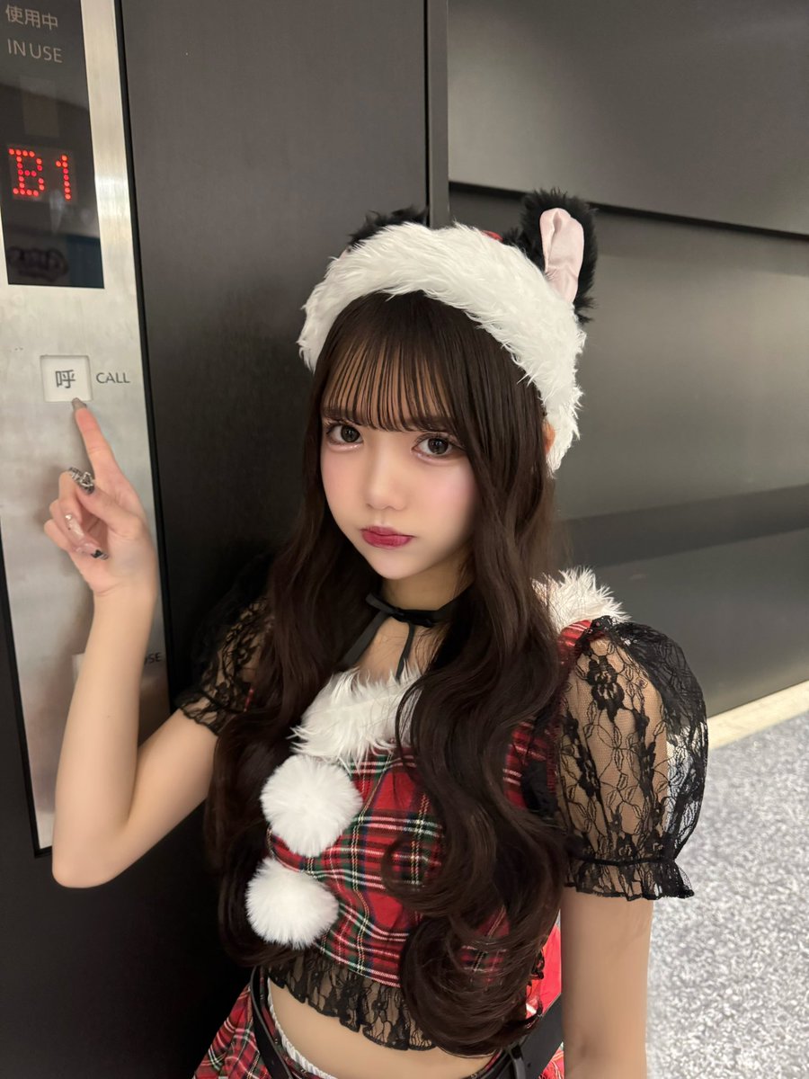 mizuki_jams's tweet photo. すぐ懐かない猫 https://t.co/BcoYIAkOsA