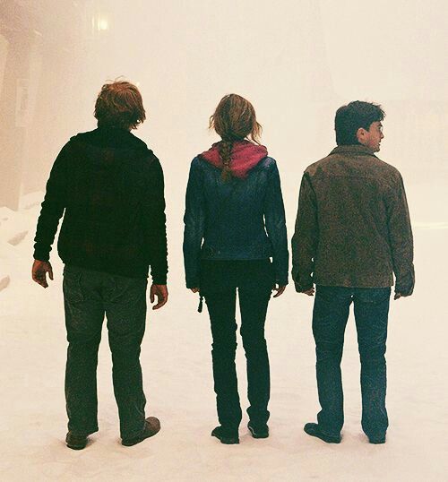 희야🫐 tweet media