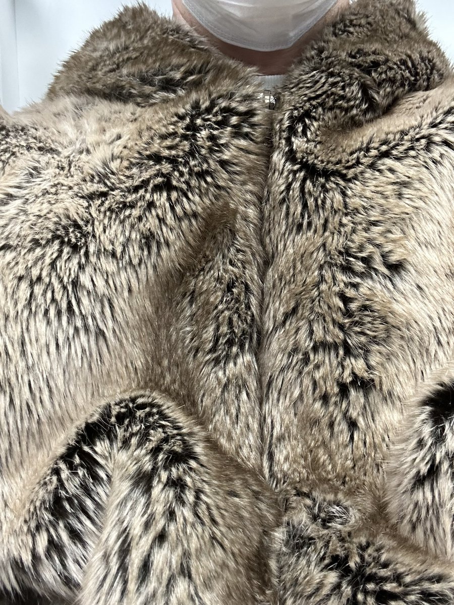 今年の冬アウター、初めてフェイクファーのジャケットにしたんだけど、あったかいを超えて、電車の中とかだと、暑い。寒さに強く今季は過ごせそうだわーい。