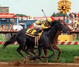 サンデーサイレンス 🇺🇸