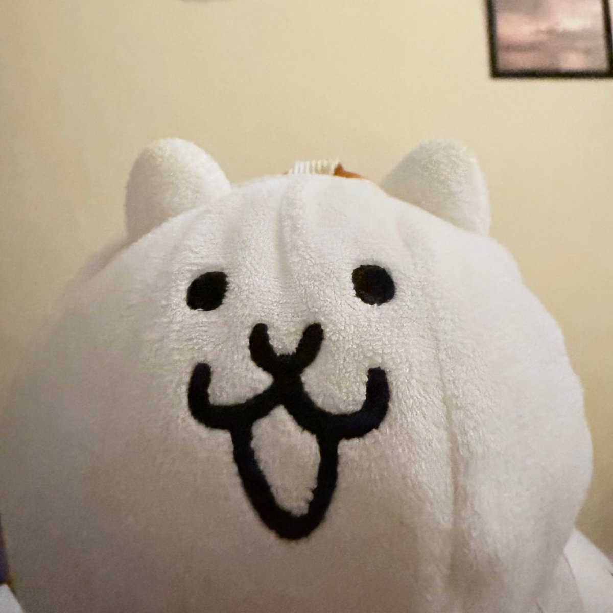 shiro (@whitenyanya) / Posts / X