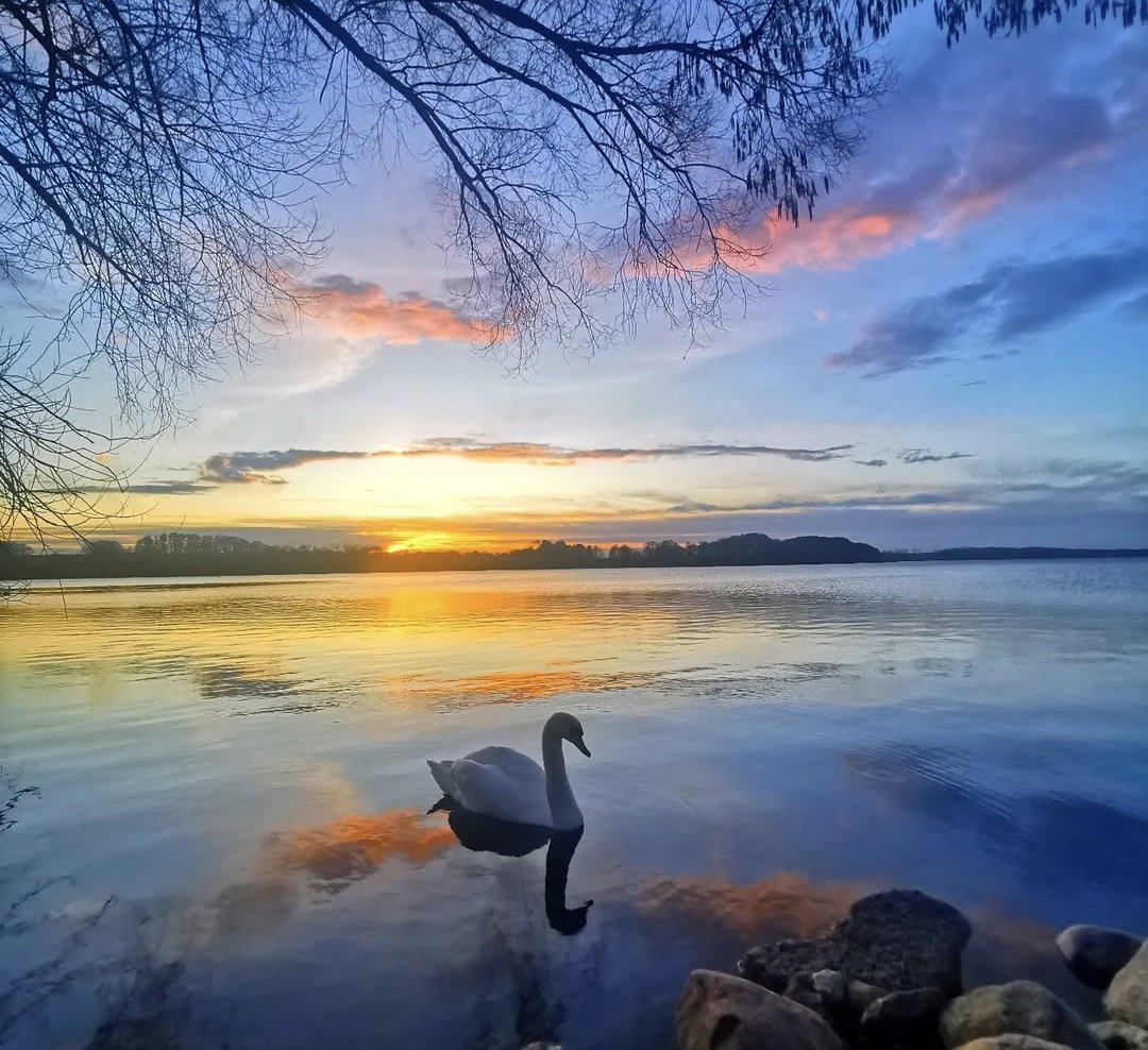 Olan umudumuzda kalakalırız ortalıkta,
Bizim bu insanca üzgünlüğümüz dillere destan.
Cemal Süreya 

İyi akşamlar 
💙💙
