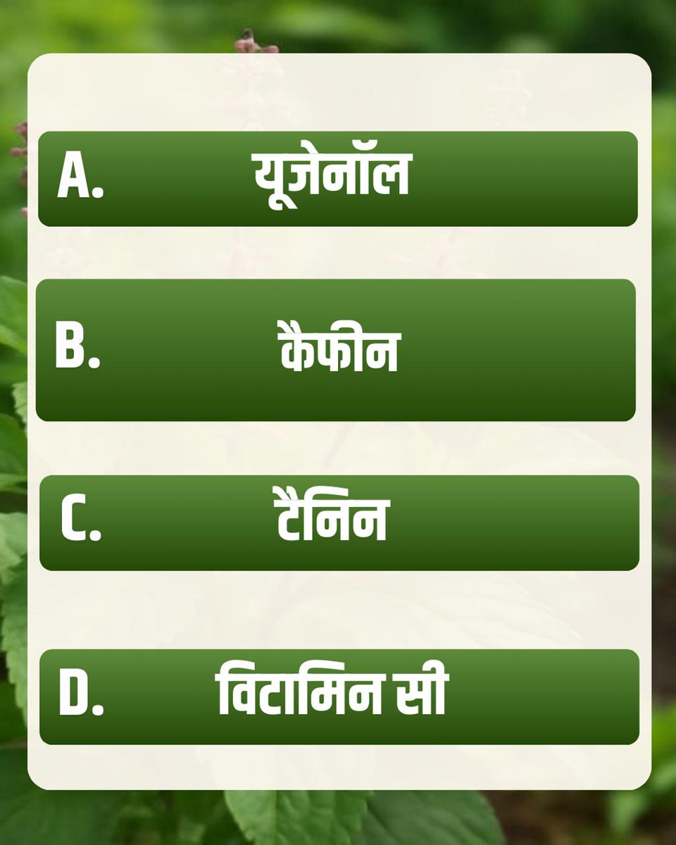 jagohindustani_'s tweet photo. तुलसी में पाया जाने वाला कौन-सा तत्व फेफड़ों की सूजन कम करने में सहायक माना जाता है और COVID-19 जैसे श्वसन रोगों में उपयोगी है?

Sant Shri Asharamji Bapu
The Initiator
Tulsi Pujan Diwas
#WonderDrug https://t.co/Oz2JwcXUnj