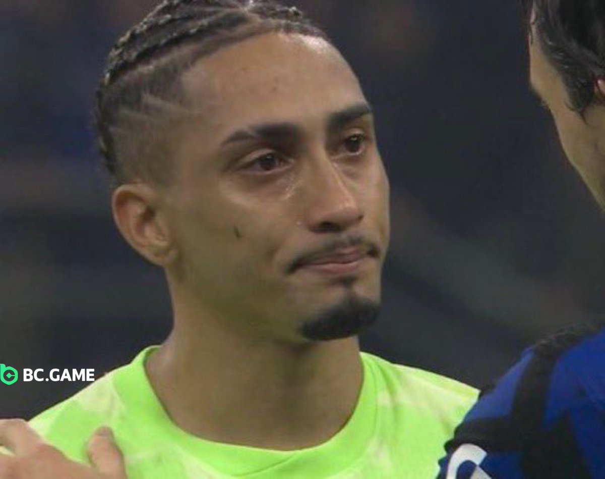 Berneese tweet media