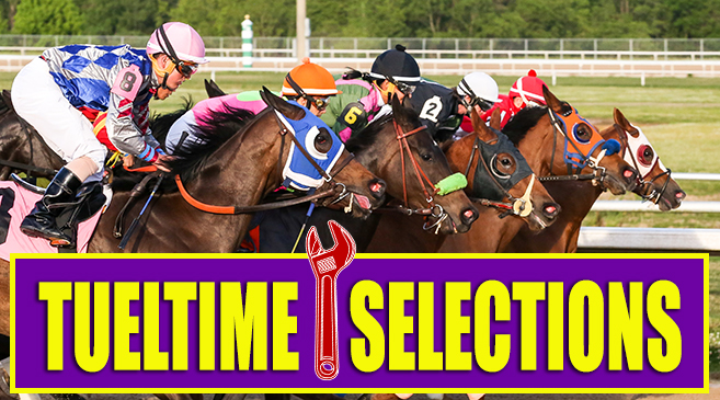 EVD Racing tweet media