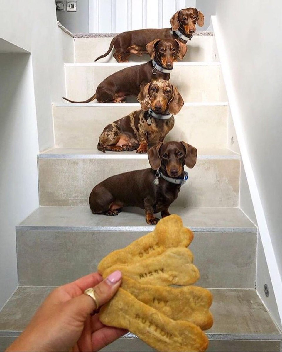 Hora do petisquinho, image size:961x1200