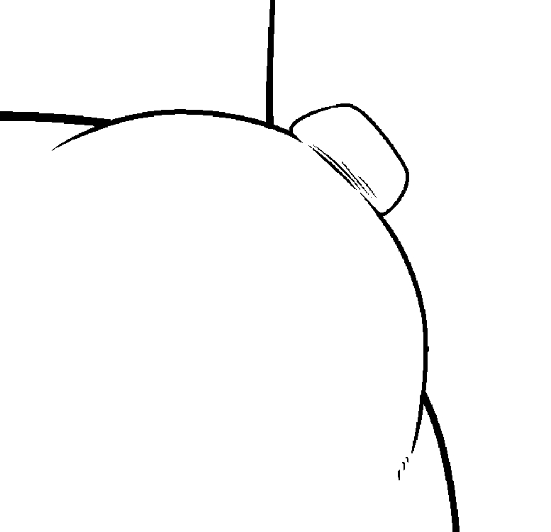 新たなる認識を経た乳首 