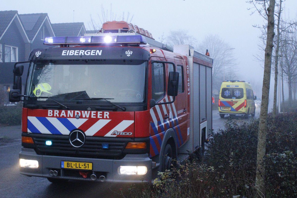 Meerdere voertuigen beschadigd bij ongeval in woonwijk Eibergen, bestuurder gewond