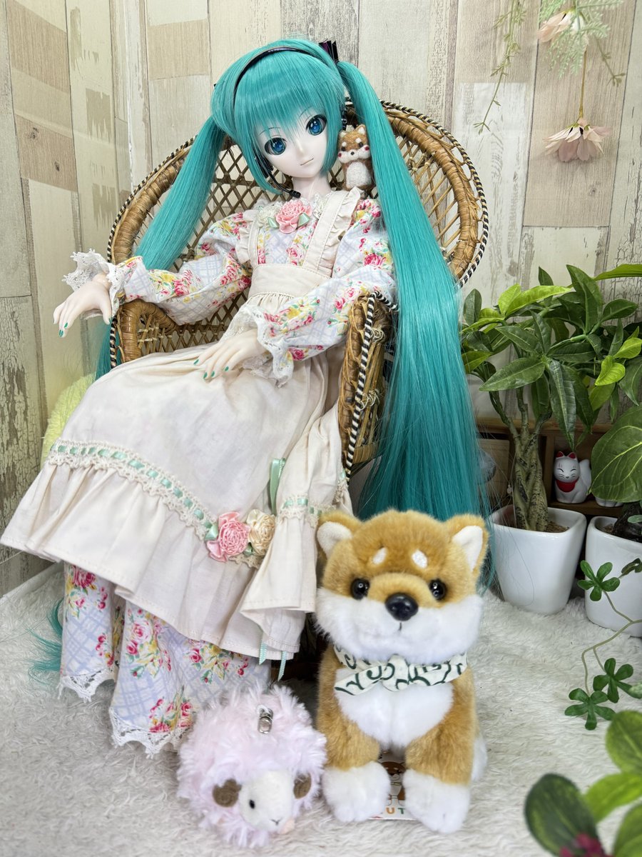 くまきち (@bearbeartyan) / Posts / X