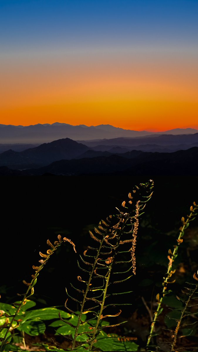 #digitalart #sunrise