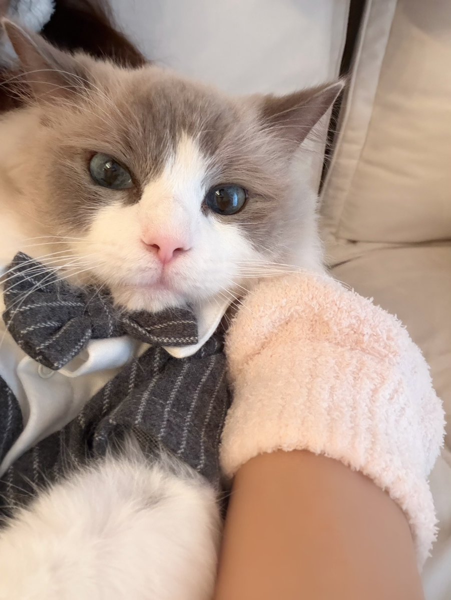 今週の #大谷映美里 さん🐈

みりにゃから何やら差し入れが...

24時00分から、ぜひお聴きください！

📻 radiko.jp/share/?sid=MBS…

#アッパレ土
#イコラブ
#みりにゃの今日の私服