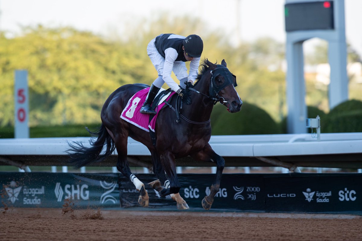اسطبل الغريبان الرسمي ‏ (ALGHARIBAN STABLE) tweet media