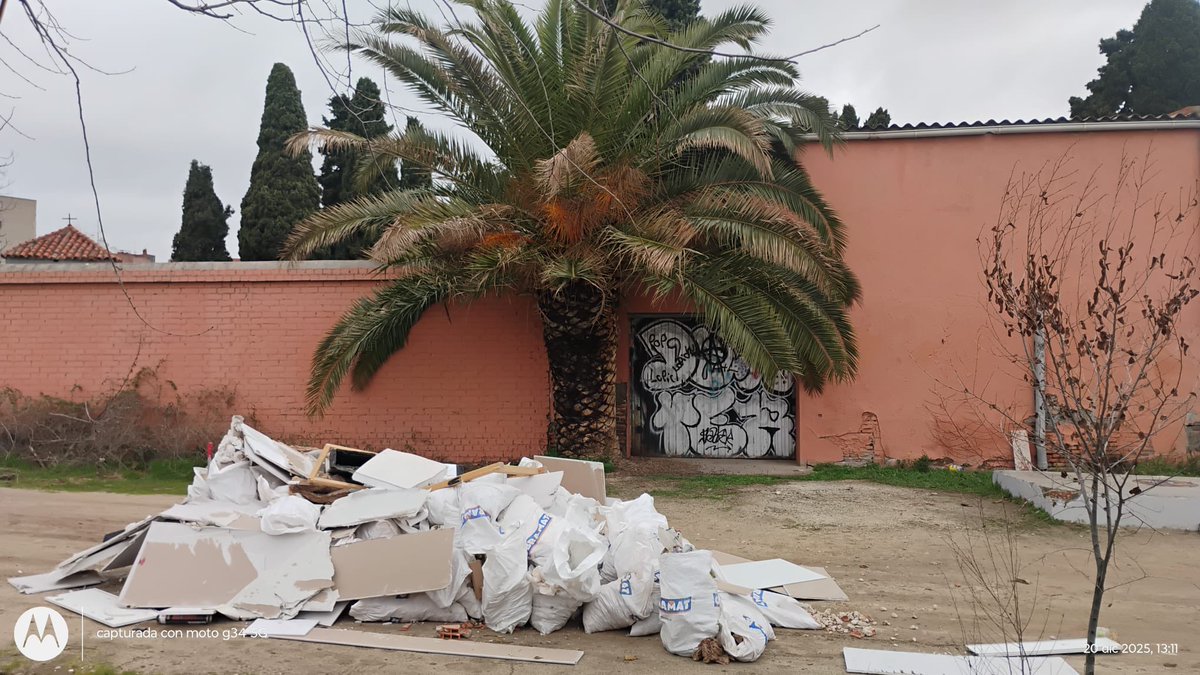 🌳Mesa del Arbol de Carabanchel tweet media