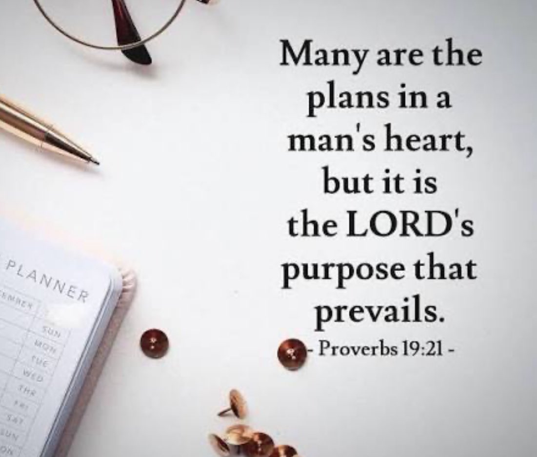 propertyLDN's tweet image. 