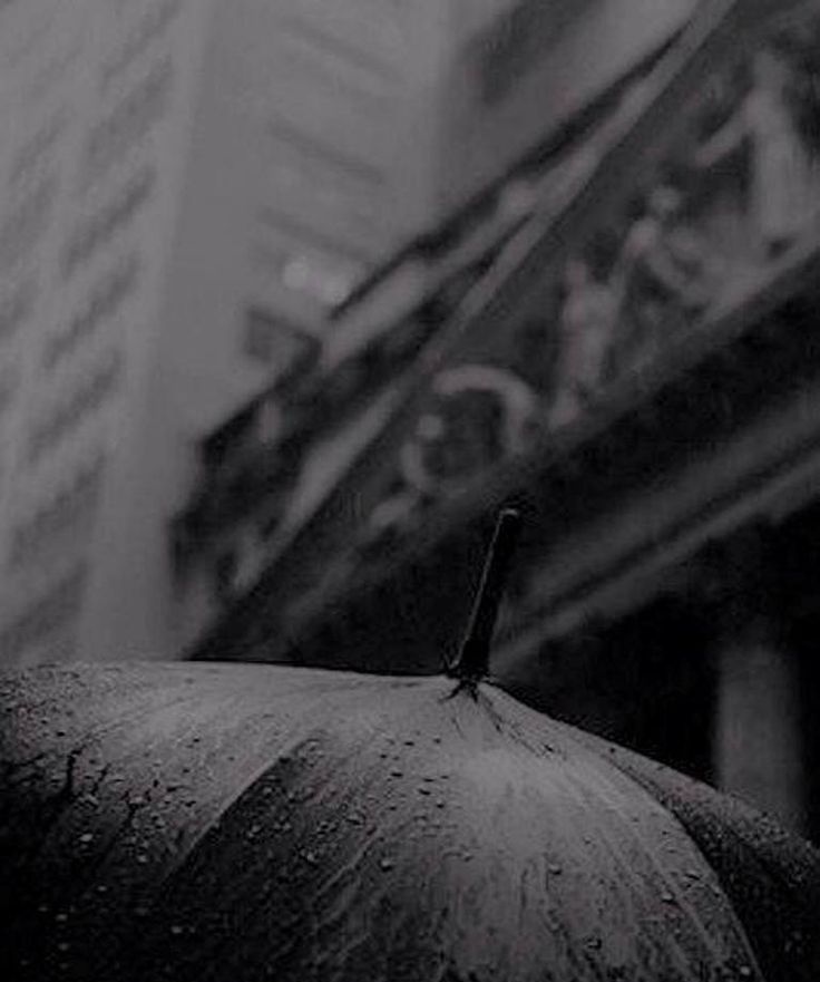 IcebergOfGotham's tweet image. "Another morning in Gotham City."
#MayorCobblepot