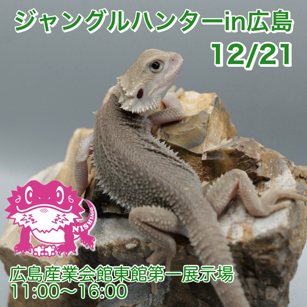 ポポのケージ (@poponocage) / Posts / X