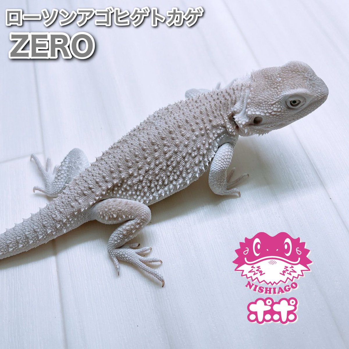 ポポのケージ (@poponocage) / Posts / X