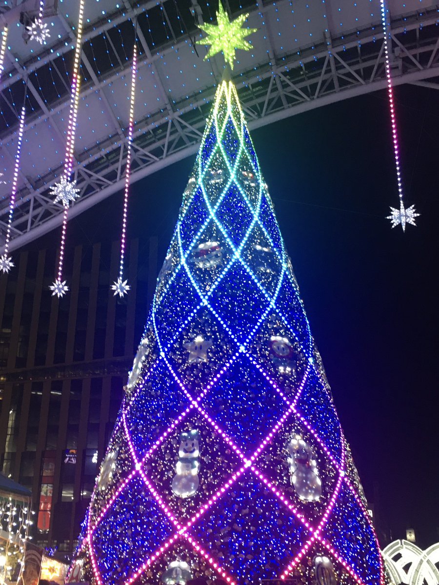 뽀 tweet media
