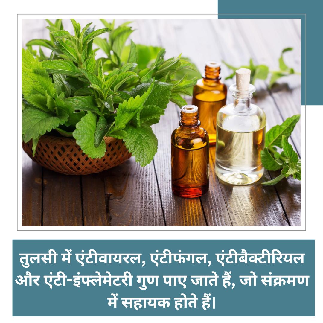 <a href="/YssSpeaks/">Young India Speaks</a> #WonderDrug 
Sant Shri Asharamji Bapu
The Initiator
Tulsi Pujan Diwas , तुलसी सेवन से कैंसर जैसी घटक बीमारी ठीक हो जाती है, blood pressure में भी रामबाण दवा है।