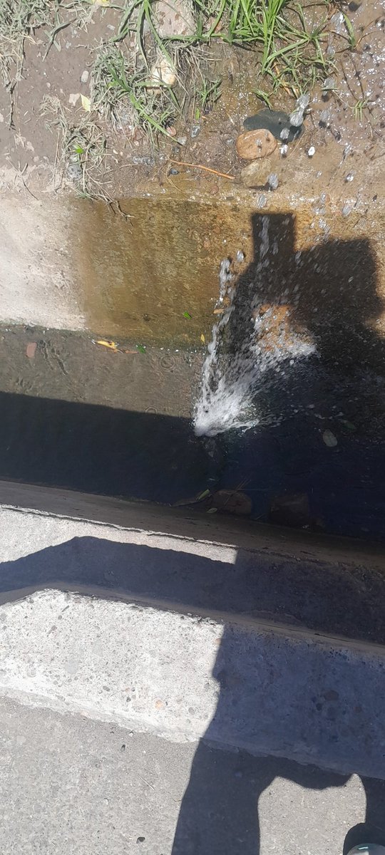 mar_si_71's tweet photo. @AguasMendocinas perdida de agua en colon 1729 belgrano guaumallen. Solucion a la brevedad https://t.co/Ket4Vt9Rjj