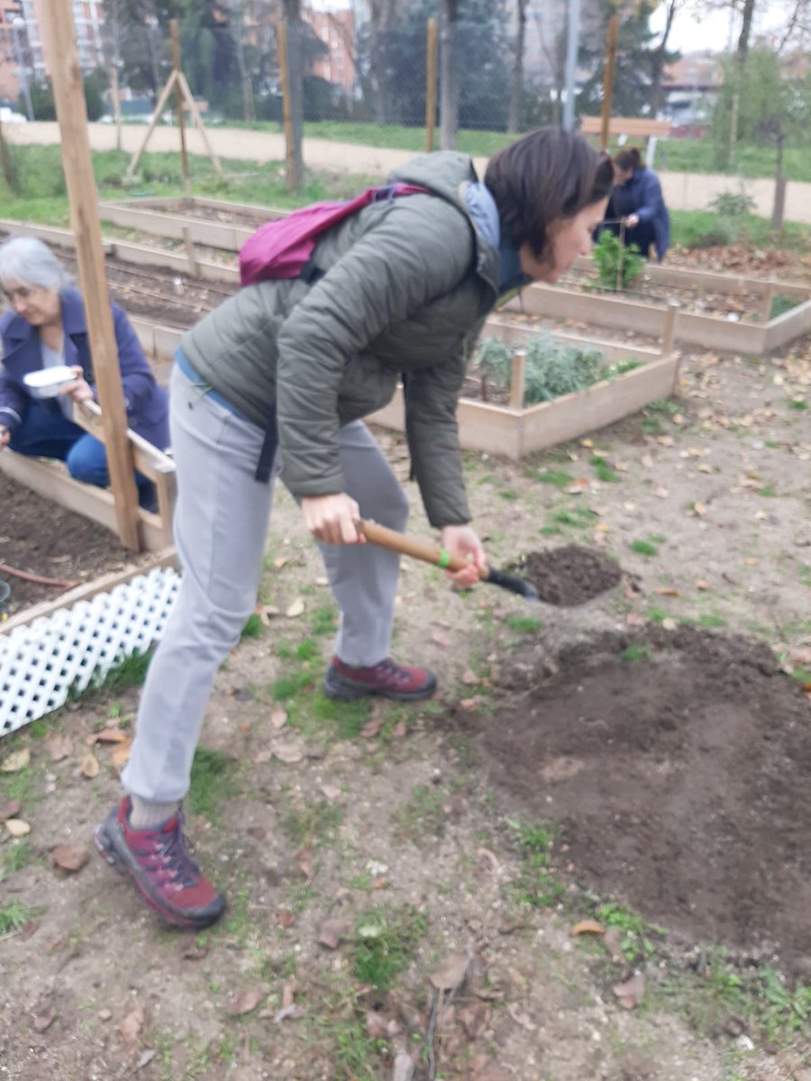 AVLaUnion's tweet image. Gran jornada de trabajo colectivo en el huerto comunitario AV La Unión: plantación de ajos,tajetes, coliflor,zanahorias,lechugas, repollo...🌱🌱
Limpieza de ramas caídas, abonado, recolección de semillas y asamblea fin de año!!
#verdequetequieroverde
#huertocomunitario #hortaleza