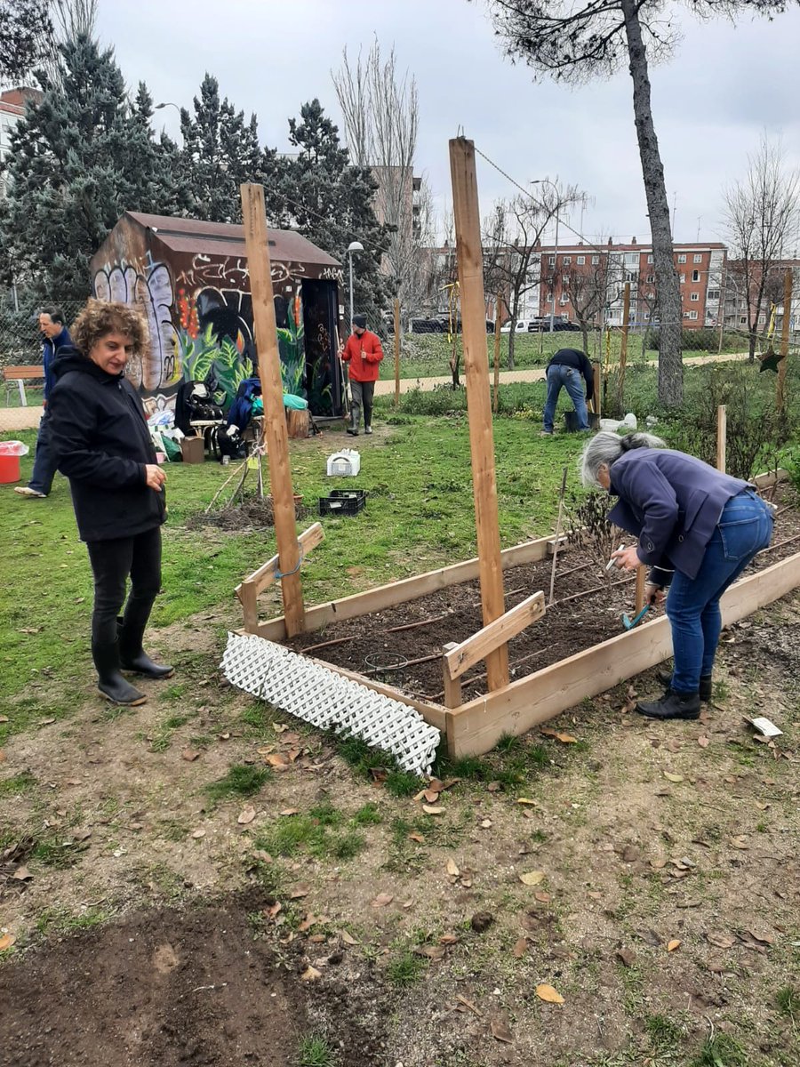 AVLaUnion's tweet image. Gran jornada de trabajo colectivo en el huerto comunitario AV La Unión: plantación de ajos,tajetes, coliflor,zanahorias,lechugas, repollo...🌱🌱
Limpieza de ramas caídas, abonado, recolección de semillas y asamblea fin de año!!
#verdequetequieroverde
#huertocomunitario #hortaleza