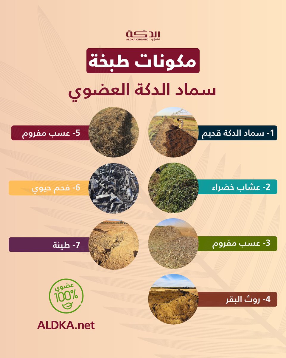al_dka's tweet image. من وين تبدأ حكاية تمر الدكة؟

في مزرعة الدكة نعيد تدوير مخلفات المزرعة نفسها:
*سماد الدكة قديم
*أعشاب خضراء
*عسب مفروم
*روث البقر
*الفحم الحيوي (Biochar)
*طينة

لتربة أكثر حيوية، جذور أقوى، ونخيل أعلى جودة، بدون مبيدات أو أسمدة كيماوية

#مزرعة_الدكة #سماد_عضوي #فحم_حيوي