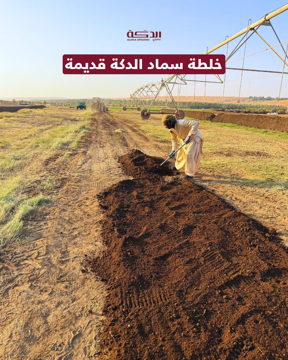 al_dka's tweet image. من وين تبدأ حكاية تمر الدكة؟

في مزرعة الدكة نعيد تدوير مخلفات المزرعة نفسها:
*سماد الدكة قديم
*أعشاب خضراء
*عسب مفروم
*روث البقر
*الفحم الحيوي (Biochar)
*طينة

لتربة أكثر حيوية، جذور أقوى، ونخيل أعلى جودة، بدون مبيدات أو أسمدة كيماوية

#مزرعة_الدكة #سماد_عضوي #فحم_حيوي