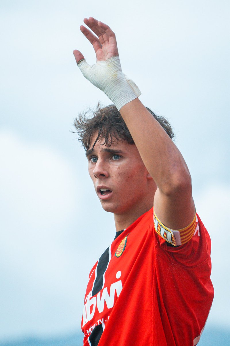 RCD Mallorca Base tweet media