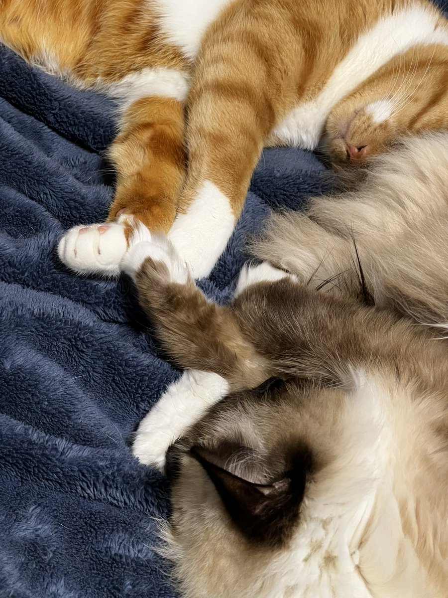 はるきち (@harukichi425) / Posts / X