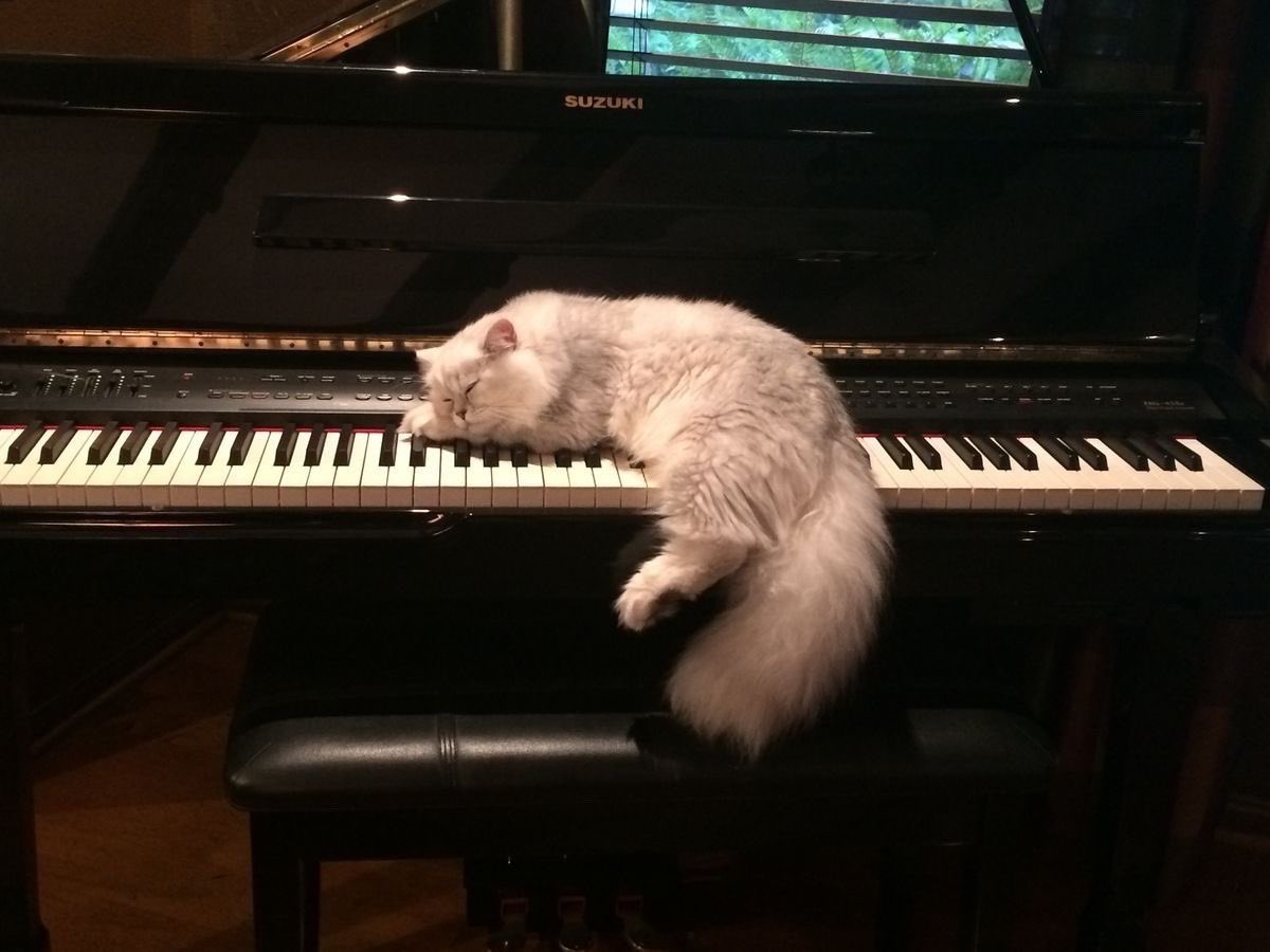 suaverotic's tweet image. 