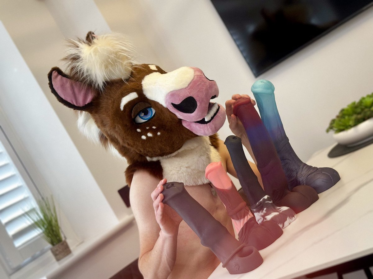 Bailey The Hoss ✨🔜 CFz tweet media