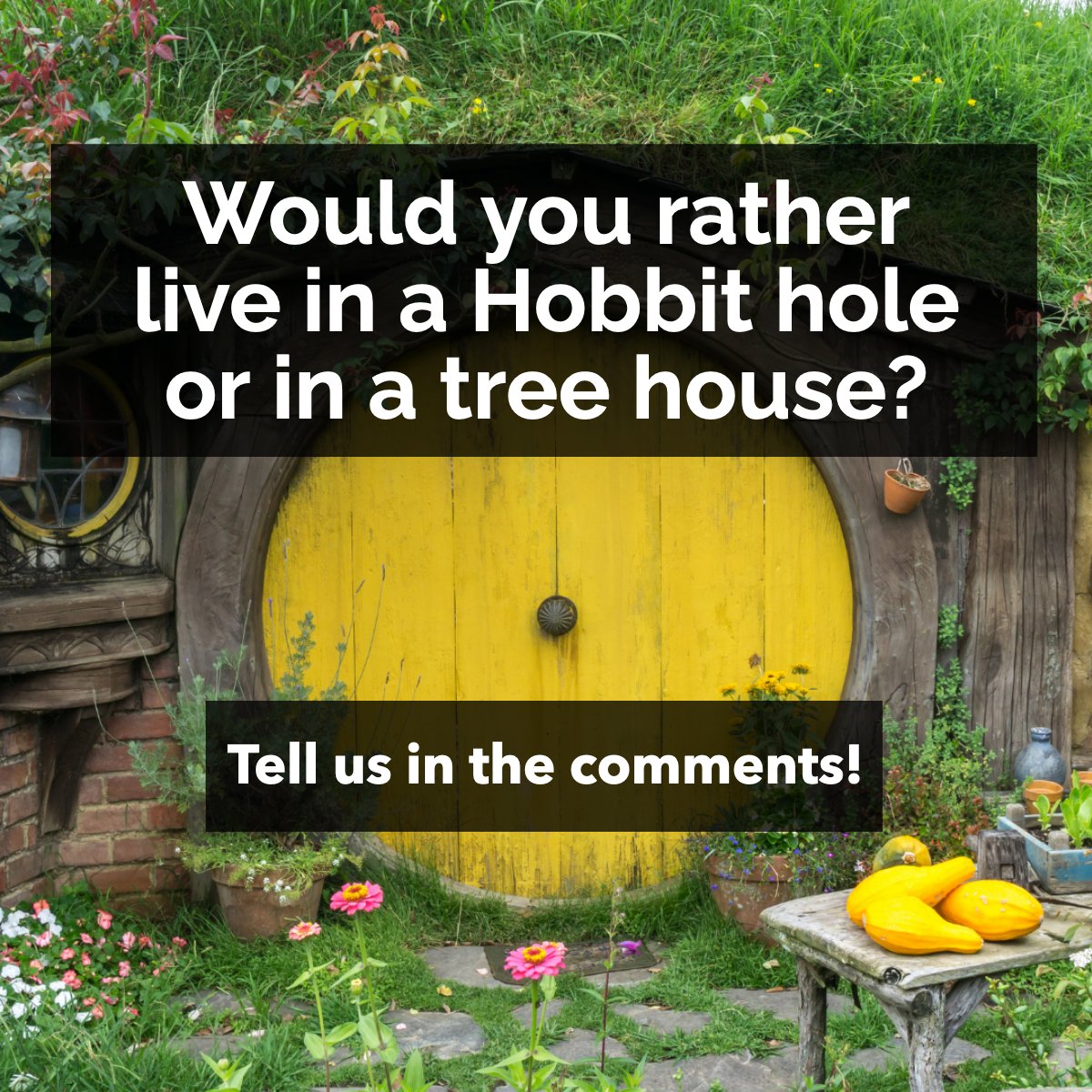 NiecieDraper's tweet image. Which one do you prefer? 🌳 ✨

#TreeHouse #RabbitHole #LandscapeArchitecture
