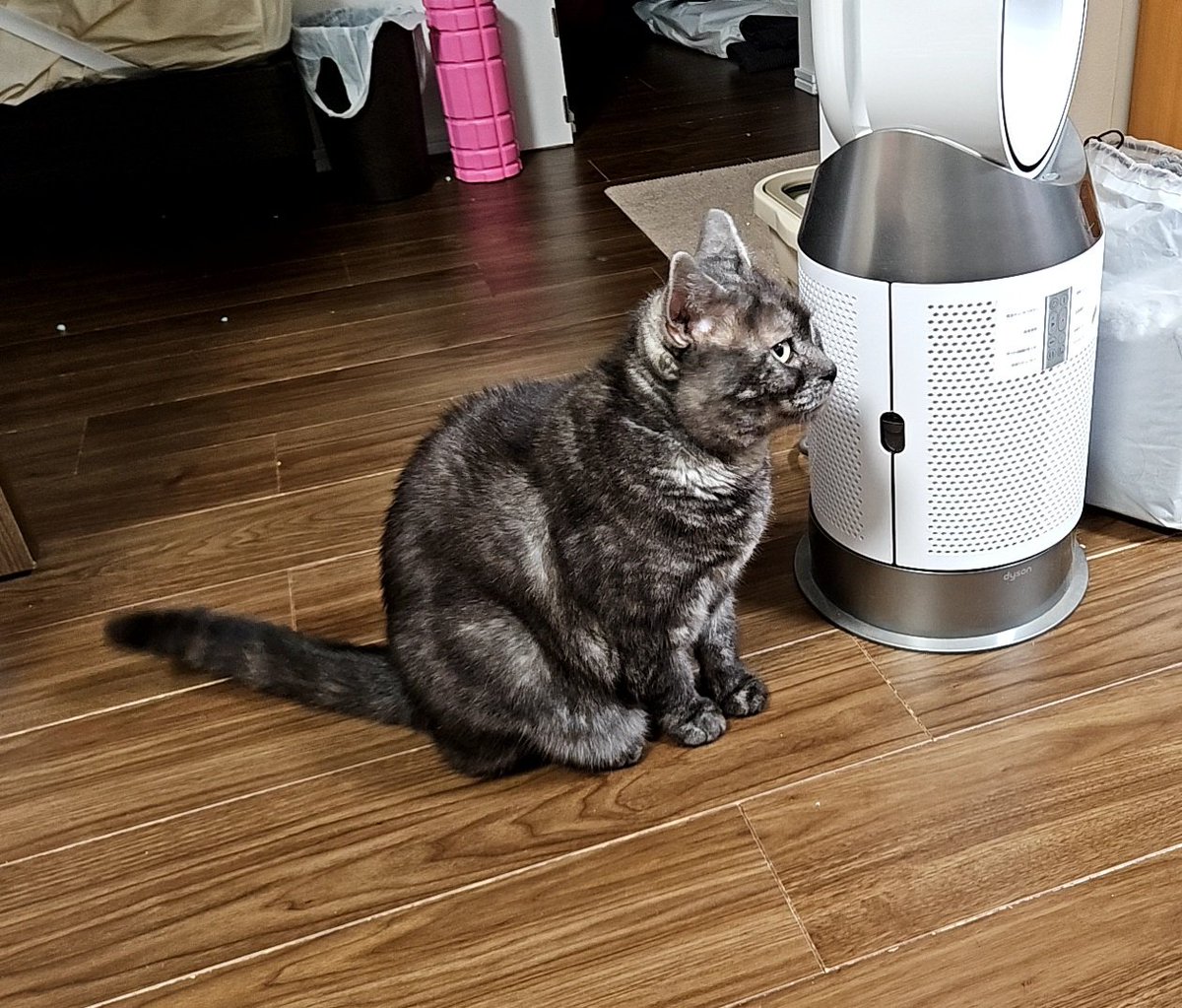 むぎむぎ (@mugimugi92) / Posts / X