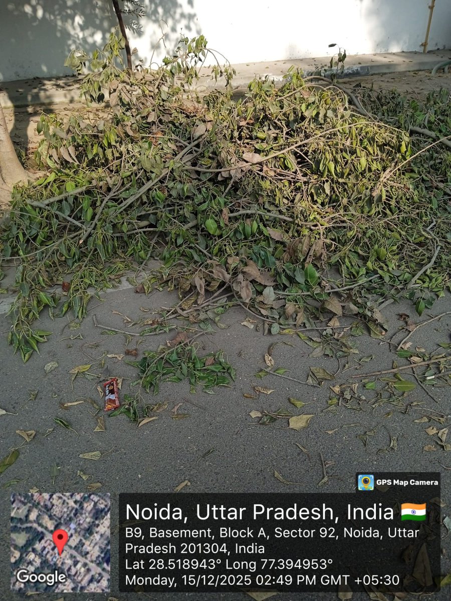 NoidaRwa92's tweet photo. @CeoNoida @noida_authority @mukteshchander @chhotethakur @rkhattar सेक्टर 92 में पेड़ों की टहनियां पिछले 25दिनों से यूं ही पड़ी हुई है। संबंधित विभाग को बार-बार कंप्लेंट करने के बाद भी नहीं उठाई जा रही हैं। कृपया इन्हें शीघ्र अति शीघ्र हटाया जाए। https://t.co/WjoXrL8t8J